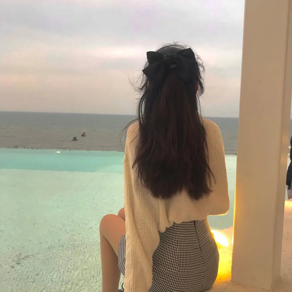 明月守护者封面