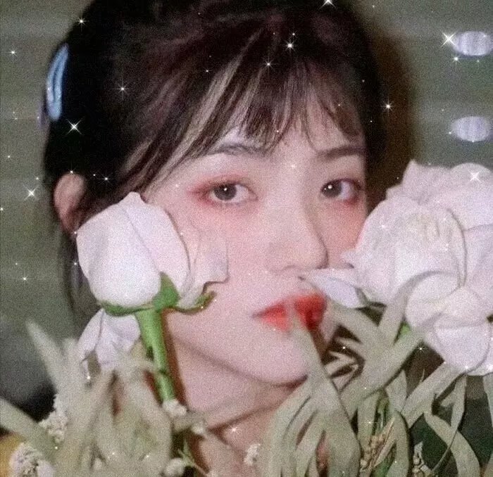 派对女孩升天记封面