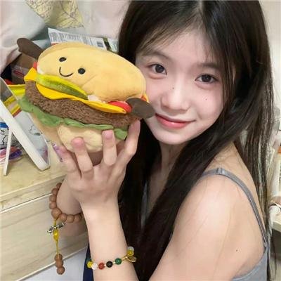 双生灵探封面